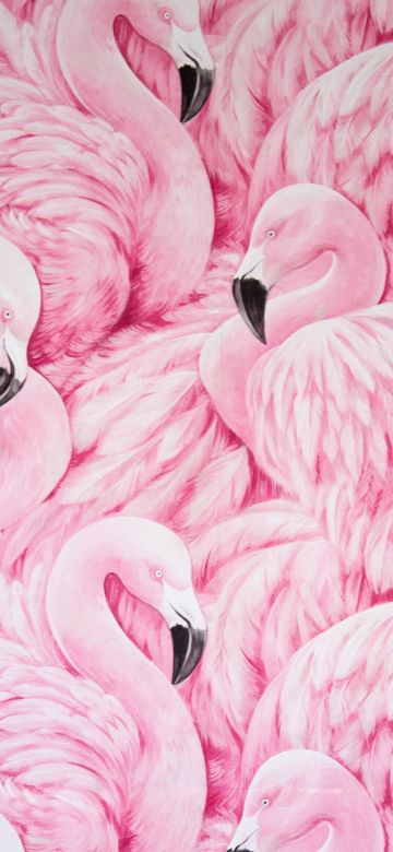 Pink Flamingos, Painting, Feathers, Beautiful, Aesthetic, 5K