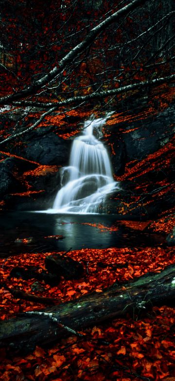 Waterfalls, Autumn, Dark Forest, Foliage, Woods, Red leaves, Fallen Leaves, Water Stream, Scenic, 5K, Dark red