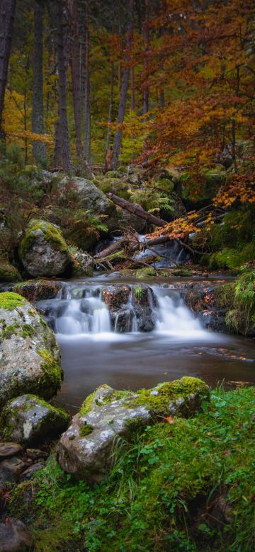 Waterfall, Autumn, Foliage, Forest, Woods, Greenery, Rocks, Green Moss, Long exposure, Water Stream, Landscape, Scenery, 5K