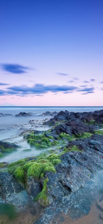 Rocky coast, Beach, Long exposure, Seascape, Horizon, Clouds, Green Moss, Evening sky