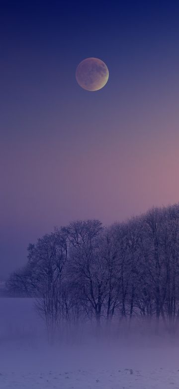 Winter, Aesthetic, Morning, Foggy, Moon, Landscape, Cold, 5K