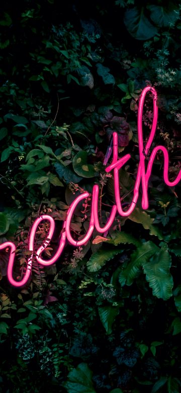 Breathe, Neon sign, Green background, Green leaves, Pink, Girly backgrounds