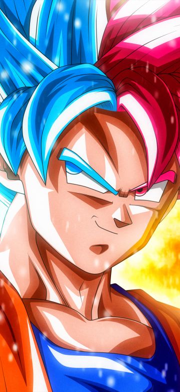 Goku, Super Saiyan Blue, Super Saiyan God, Dragon Ball Super, 5K