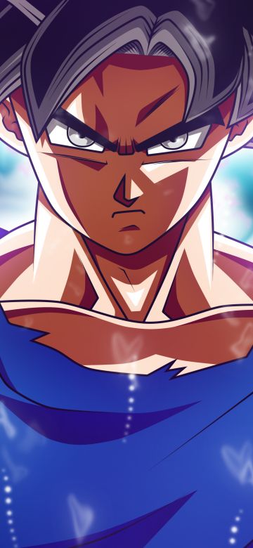 Goku Mastered Ultra Instinct, Dragon Ball Super, 5K