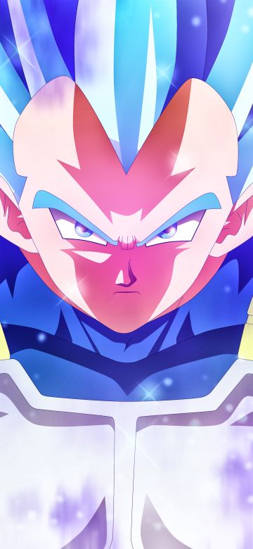 Vegeta, Dragon Ball Super, 5K