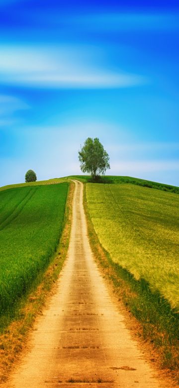 Landscape, Green, Path, Countryside, Daytime, Summer, 5K