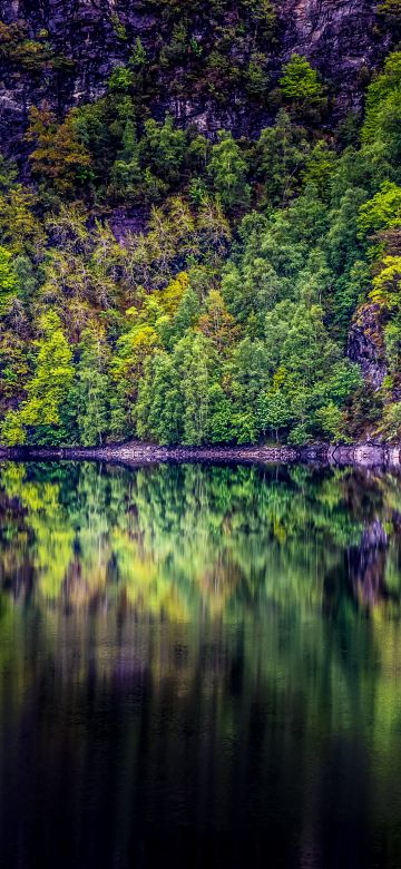 Rainforest, Cliff, Rock, Trees, Lake, River, Forest, Reflection, Norway, 5K