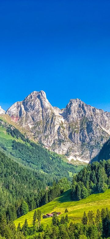 Alps mountains, Mountain range, Summer, Sunny day, Forest, Clear sky, Blue Sky, Landscape, Switzerland