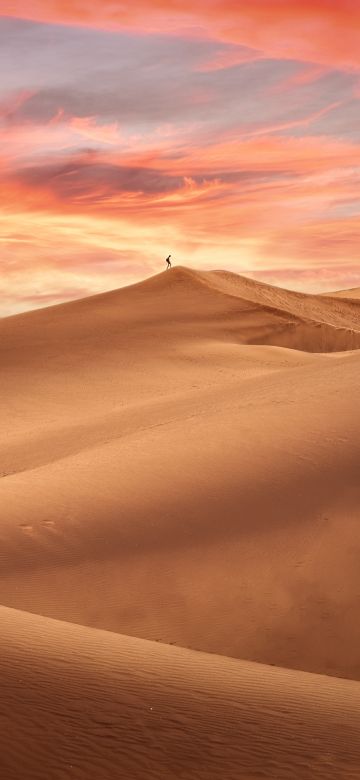 Desert, Evening, Sand Dunes, Alone, Sunset, 5K