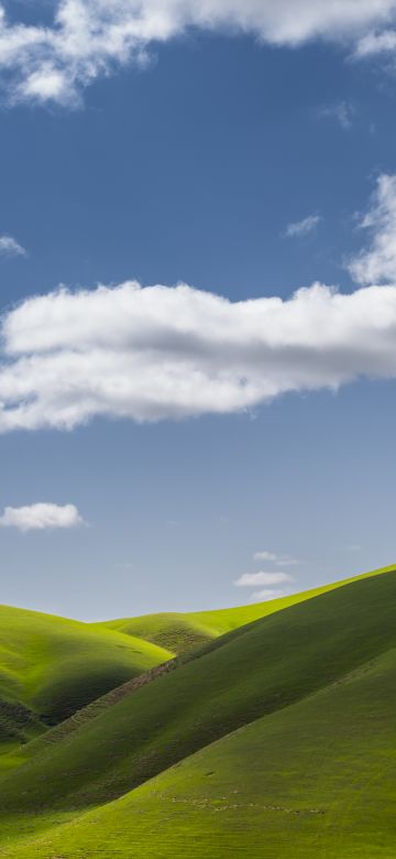 Landscape, Scenery, Green Fields, Clouds, Sunny day, 5K