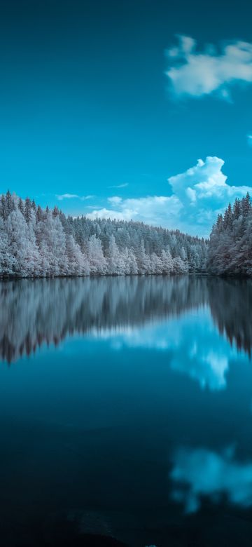 Forest, Infrared vision, Blue Sky, Mirror Lake, Reflection, Body of Water, Landscape, Pine trees, 5K, 8K