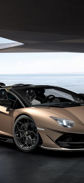 Lamborghini Aventador SVJ Roadster, 5K, Bronzo Zenas, 2021