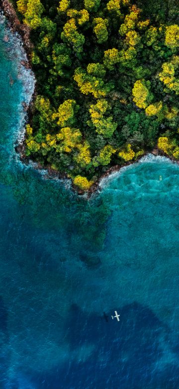 Fantasy Island, Aerial view, Forest, Ocean, 2020, 5K