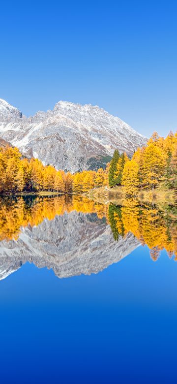 Lai da Palpuogna, Autumn trees, Mountain lake, Reflection, Albula Pass, Clear sky, Landscape, Scenery, 5K