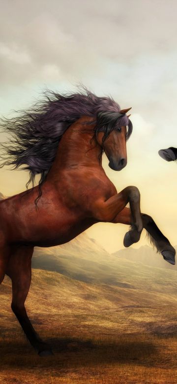 Wild Horses, Pair, Brown Horses, Stallion, Digital paint, Mane, Beautiful, Brown aesthetic