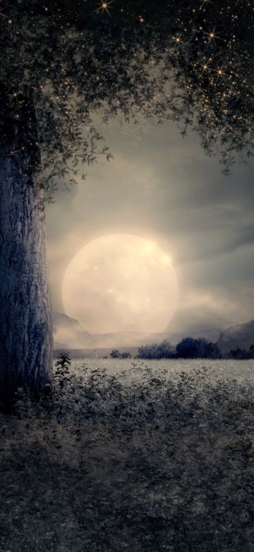 Full moon, Night view, Landscape, Surreal, Fairy tale, Wood, Mystic, Trunk