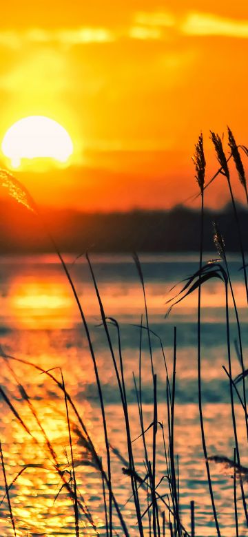 Sunset, Lake, Backlight, Scenery, Dusk, Silhouette, Landscape, Orange sky