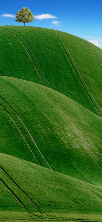 Green Meadow, Countryside, Agriculture, Hills, Blue Sky, Landscape, Scenery