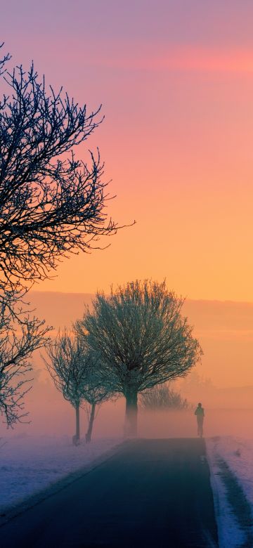 Golden hour, Foggy, Sunrise, Morning, Winter, Road, 5K