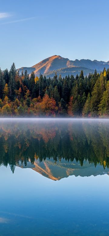 Crestasee Lake, Autumn trees, Switzerland, Reflection, Mirror Lake, Fog, Landscape, Scenery, 5K