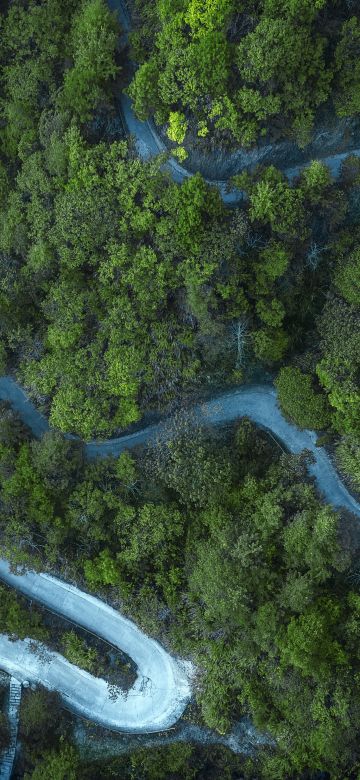 Forest, Cold, Road, Aerial view, Drone photo, Landscape