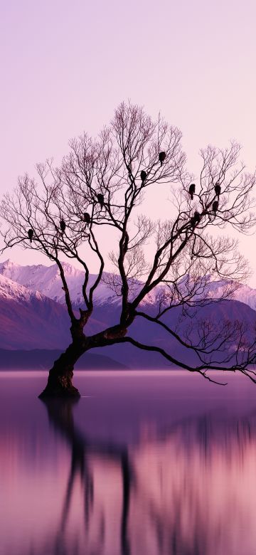 Withered Tree, Glacier mountains, Snow covered, Dusk, Mountain range, Landscape, Scenery, Long exposure, Body of Water, Reflection, 5K