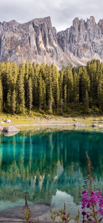 Lake Carezza, Italy, Mirror Lake, Mountain range, Landscape, Scenery, Pine trees, 5K