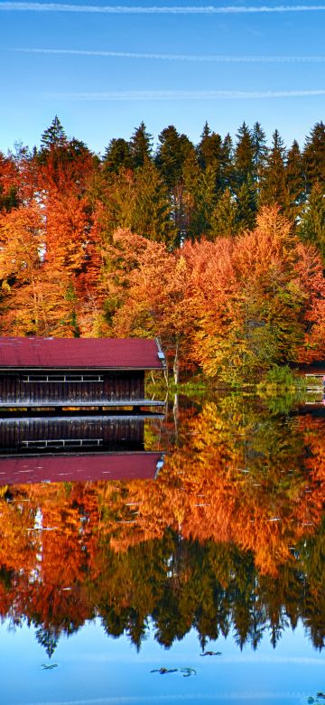 Autumn trees, Mirror Lake, Forest, Reflection, Wooden House, Landscape, Scenery, 5K, 8K