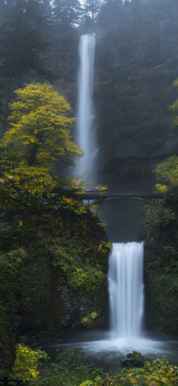 Multnomah Falls, Oregon, Forest, Waterfalls, Green Moss, Rocks, Cliff, Greenery, Bridge, Landscape, Scenery