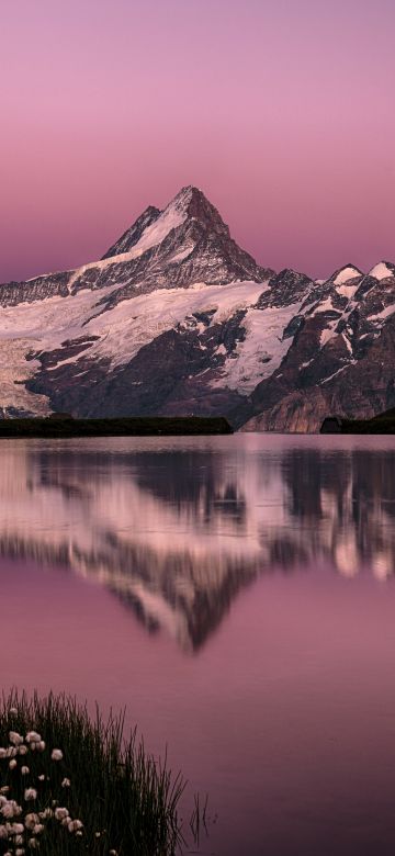 Bachalpsee Lake, Switzerland, Swiss Alps, Pink sky, Snow covered, Mountain View, Reflection, Sunset, Dusk, 5K, 8K