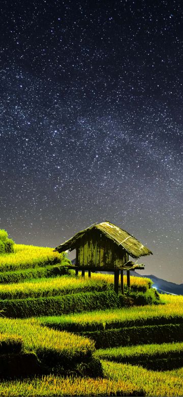 Terrace farming, Rice fields, Agriculture, Countryside, Landscape, Greenery, Paddy fields, Starry sky, Night time, 5K, 8K