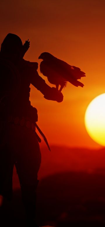 Assassin's Creed Origins, Sunset, Silhouette, Orange sky, Eagle, PlayStation 4, Xbox One, PC Games, 5K