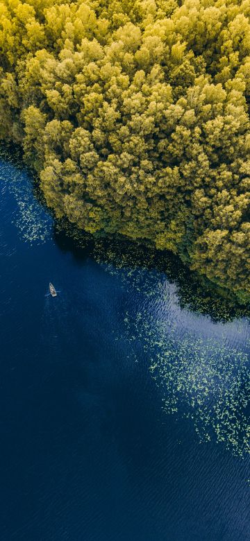 Green Forest, Trees, Aerial view, Body of Water, Birds eye view, Lake, Landscape