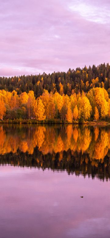 Autumn trees, 8K, Forest, Pink sky, Sunset, Reflection, Mirror Lake, Beautiful, Scenery, 5K