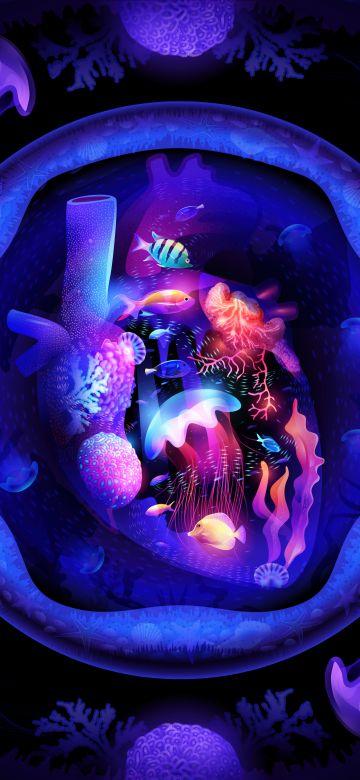 Neon, Under the Sea, Heart, Ocean, Aquarium, Jellyfishes