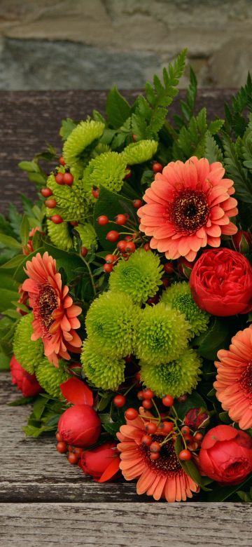 Bunch of Flowers, Gerbera Daisy, Floral, Spring flowers, Blossom, 5K