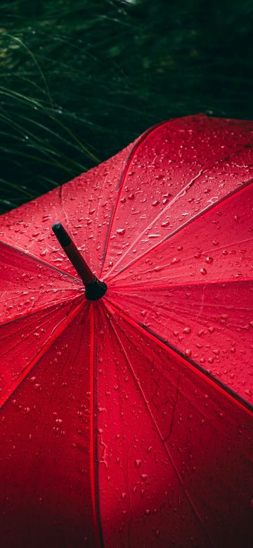 Umbrella, Red, Rain droplets, Rainy day, 5K, Dark red