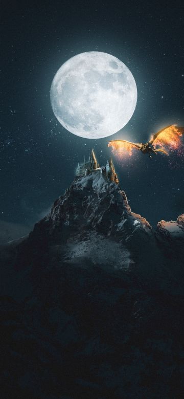 Castle, Dragon, Moon, Night