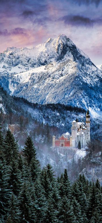 Neuschwanstein Castle, Winter Mountains, Morning, Snow covered, Ancient architecture, Schwangau, Germany, 5K