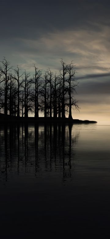 Sunset, Dry trees, Silhouette, Dusk, Lake