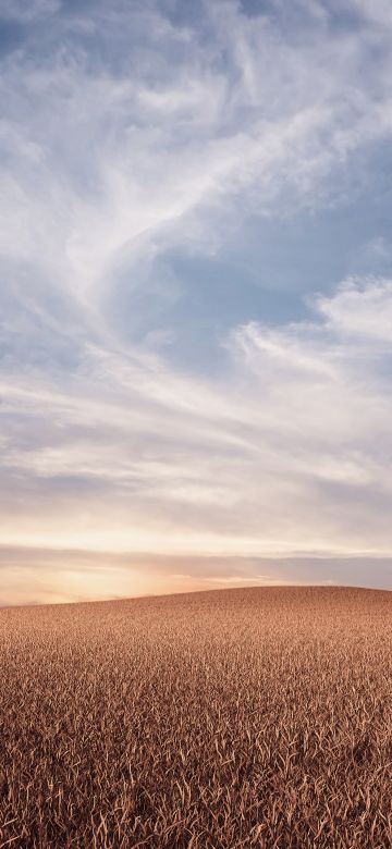 Evening, Dusk, Landscape, Dry fields