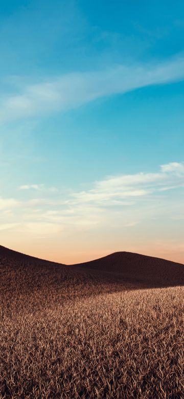 Dry fields, Sunny day, Summer, Landscape