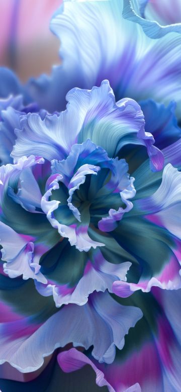 Floral Background, Purple Flower, Colorful, Macro