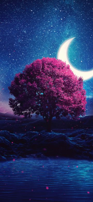 Aesthetic, Lone tree, Crescent Moon, Half moon, Starry sky, Night, Lake, Girly backgrounds, Night sky