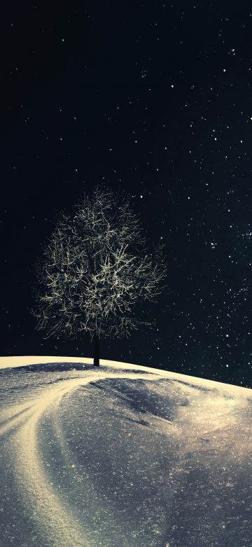 Lone tree, Crescent Moon, Night, Starry sky, Night sky, Winter, Cold, Surreal, 5K