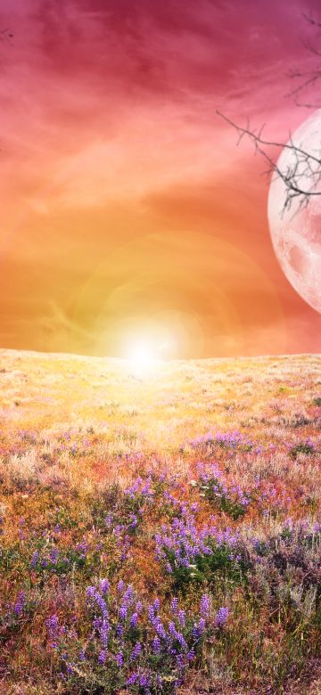 Sunrise, Landscape, Scenic, Surreal, Moon, Spring, Pink sky