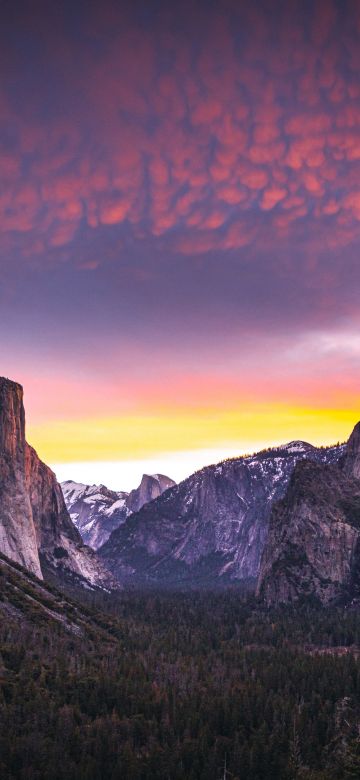 Yosemite National Park, 5K, Yosemite Valley, Landscape, Sunset, Dusk, Forest