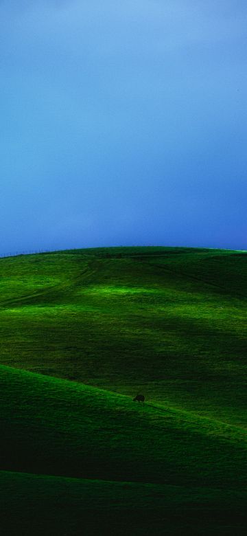 Countryside, Green Meadow, Landscape, Grass field, Blue Sky, Foggy, Scenery, 5K