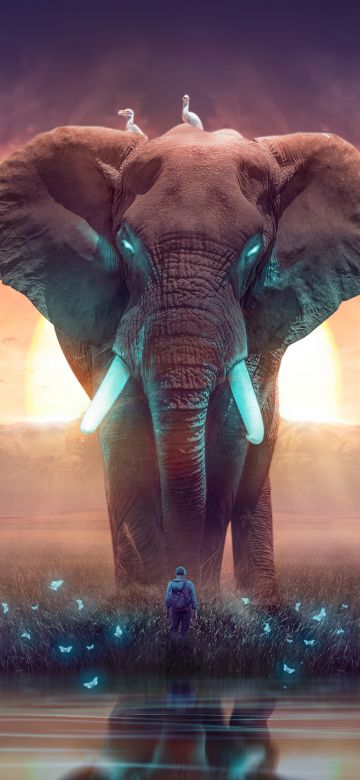 Elephant, Dream, Mysterious, Surreal, Landscape, Digital Art, Photo Manipulation, 5K, Aesthetic