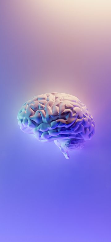 Brain, 3D background, Gradient background